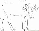 Moose Bull Dots Connect Dot sketch template