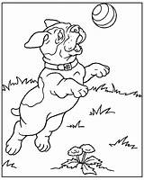 Ausmalbilder Doggy Coloringhome sketch template