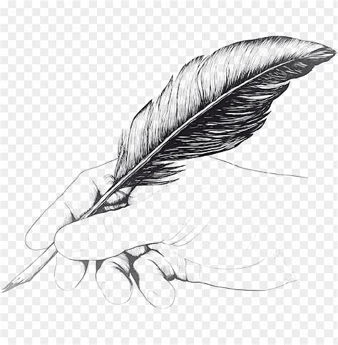 free download hd png vintage drawing of hand with feather pen drawing