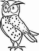 Nocturnal Animals Coloring Pages Animal Zoo Preschool Wecoloringpage Printable Color Owl Kids Getcolorings Clipart Comments Library sketch template