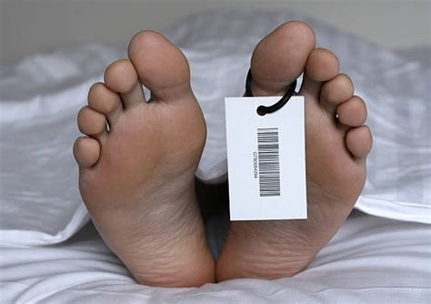 royalty  dead body death human foot morgue pictures images  stock  istock