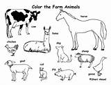 Farm Animals Coloring Animal Pages Print Preschool Color Printable Baby Colouring Equipment Kids Labeling Arctic Clipart Tundra Drawing Cute Jam sketch template