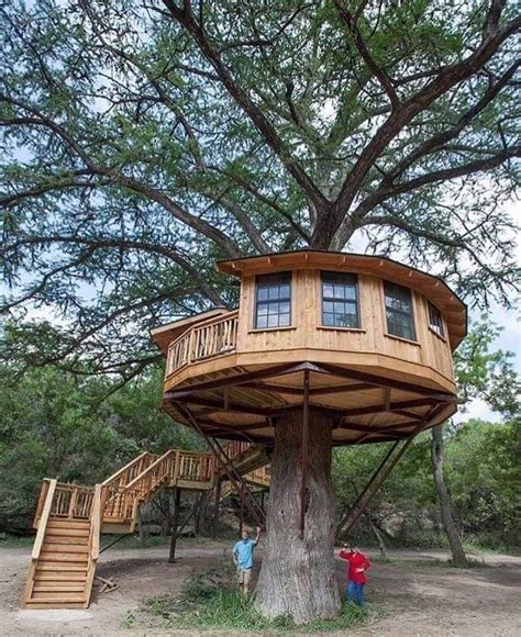 goals build    tree house designs cool tree houses beautiful tree houses