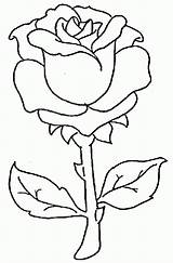 Colorir Rosas Rosen Ausmalbilder Desenhos Dibujo Tallo Coloriage Ausdrucken Grueso Coloriages Malvorlagen Imprimer Dessins Beaux Bouquet Desenhar Colorluna sketch template