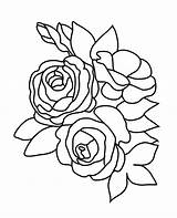 Coloring Rose Pages Flower Color Roses Three Drawing Pretty Sketch Buttercup Leaves Leaf Print Printable Pencil Getdrawings Getcolorings Two Clipartqueen sketch template