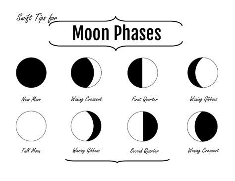 moon phases chart  printable  templateroller