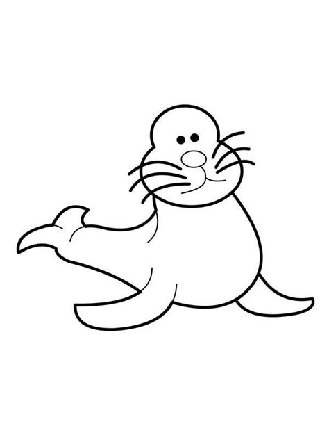 baby seal  confuse coloring page coloring sky animal coloring