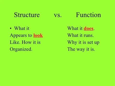 structure function living systems