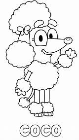Bluey Coco Colouring Poodle Sheet Chloe Rusty Xcolorings sketch template