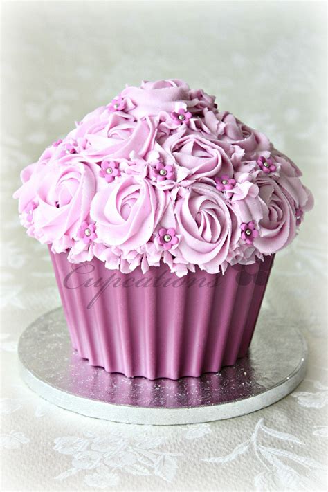 decorate  cupcake cake decoratingspecialcom