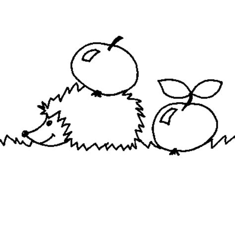 hedgehog coloring   designlooter