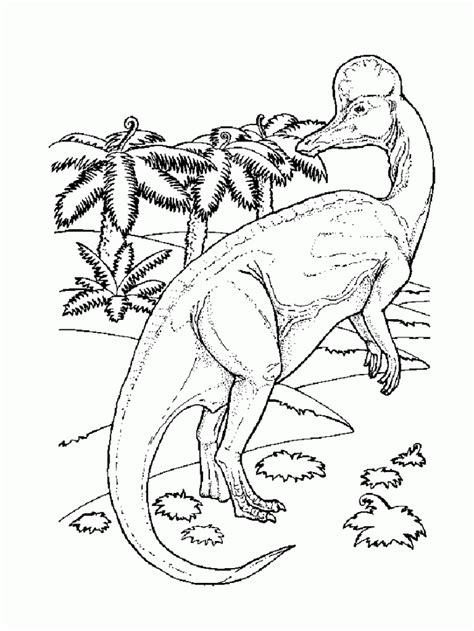 realistic dinosaur coloring pages   realistic