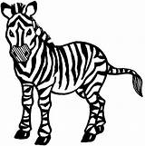 Zebra Coloring Pages Drawing Cartoon Printable Sheet Head Realistic Kids Zebras Animals Baby Color Print Getcolorings Book Clipartmag Desktop Clipart sketch template