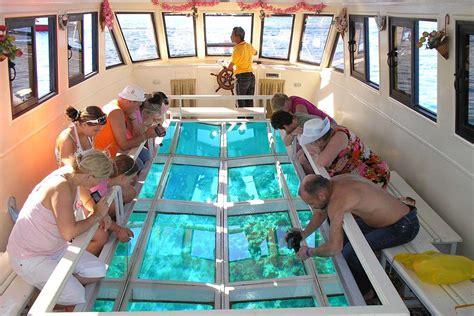 Sharm Elsheikh Glass Bottom Boat Trip Wanderlust Travel