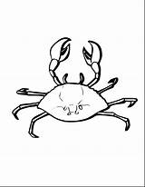 Crab Coloring Pages Horseshoe Animals Marine Printable Animal Kids Color Unbelievable Cartoon Getcolorings Print Getdrawings sketch template