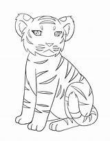 Tiger Coloring Pages Printable Kids Baby Tigers Colouring Nature sketch template