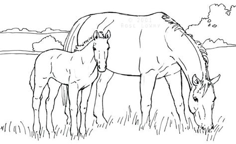 horse  foal coloring pages  getcoloringscom  printable