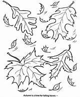 Coloring Falling Designlooter Autumn Season sketch template