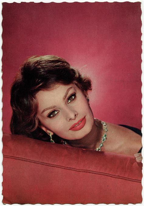 sophia loren italian film actress photograph by mary evans picture