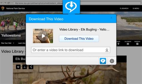 realplayer video playing software