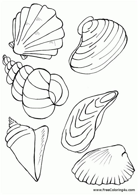 coloring pages sea shells  getcolorings   printable  xxx