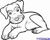 Schnauzer Coloring Dog Head Getcolorings sketch template
