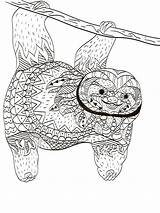 Sloth Adults Zentangle sketch template