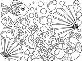 Conchas Dibujos Marinas Concha Algas Sea Shells Starfish Bubbles Peces Pequeños Burbujas Lightbox Seashells sketch template