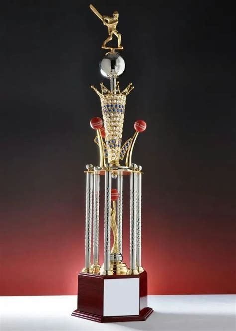 cricket trophy  rs pieces  gandhinagar id