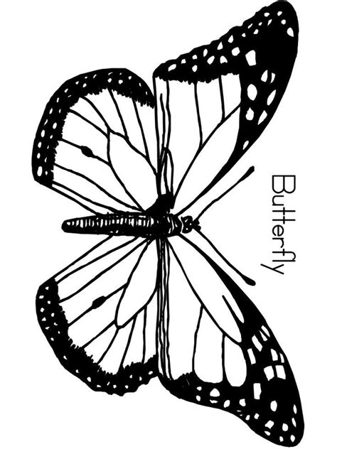 butterfly coloring pages primarygamescom  images butterfly