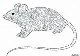 Souris Topi Colorare Disegni Adulti Motifs Queue Justcolor Mouses Corps Fleuris Longue Mice sketch template
