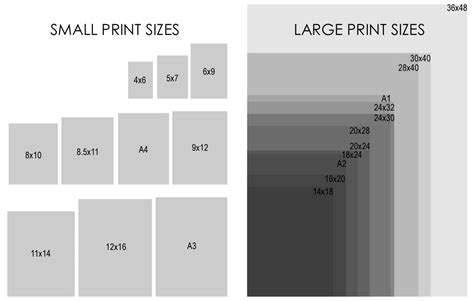 print sizes cartocreative