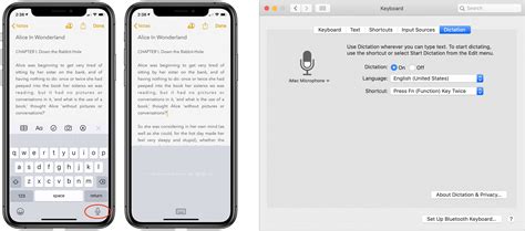 ios  macos dictation  learn  voice controls dictation