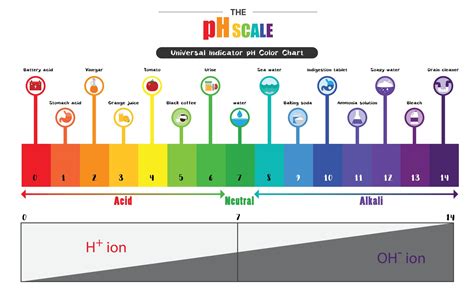 How Learning The Ph Scale Can Create A More Balanced Diet