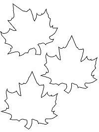 leaf leaves coloring pages  printable activities