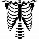 Skeleton Ribcage Ribs Transparentpng Silhouette Torso Emaze Weheartit sketch template