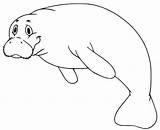 Manatee Coloring sketch template