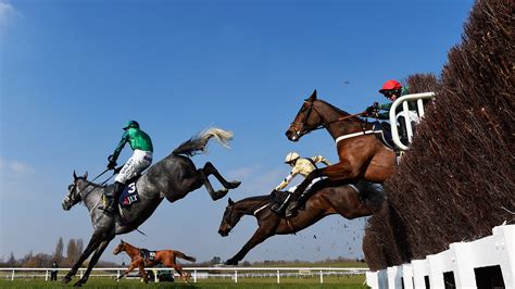 leaps  bounds  domination  irish jumps racing populous