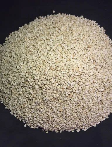white sesame seed at rs 85 kilogram s सफेद तिल के बीज in surat id