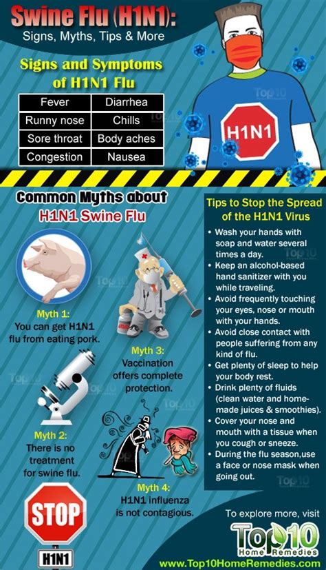 swine flu h1n1 what you should know signs myths tips and more page 2 of 2 top 10 home