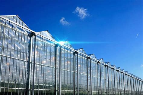 large venlo glass greenhouse agricultural venlo glass green house