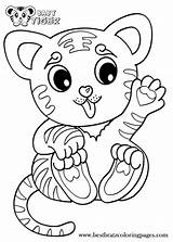 Coloring Pages Baby Tiger Tigers Color Printable Print Getcolorings sketch template