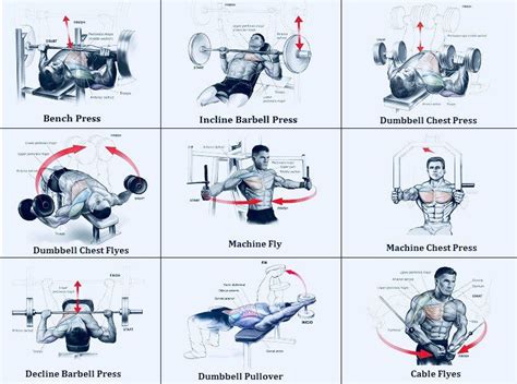 chest exercises chest workouts chest workout  mass chest workout