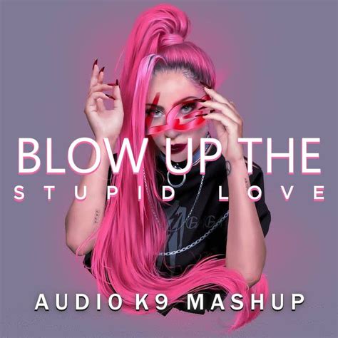 blow up the stupid love audio k9 mashup by lady gaga vs leandro da