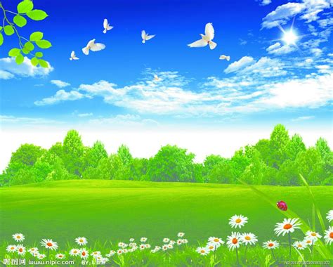 natural    powerful nature background images photoshop backgrounds backdrops