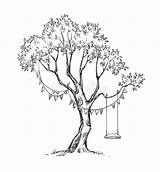 Sketch Swings Sketches Albero Schizzo Vettore Schommeling Hanging Silhouette sketch template