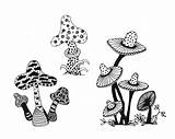 Mushrooms Fungi Tegning sketch template