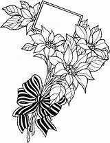 Pascua Poinsettia sketch template