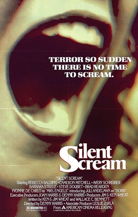 silent scream poster slasher film silent scream scary movies