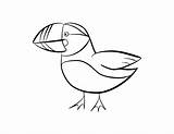 Puffin Coloring Drawing Pages Popular Getdrawings Library Coloringhome sketch template
